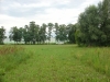 powiększ